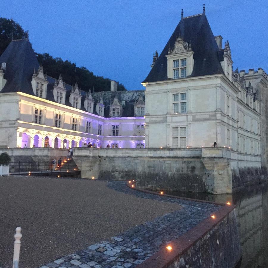 Chambre D'Hotes La Membrolle-sur-Choisille Esterno foto