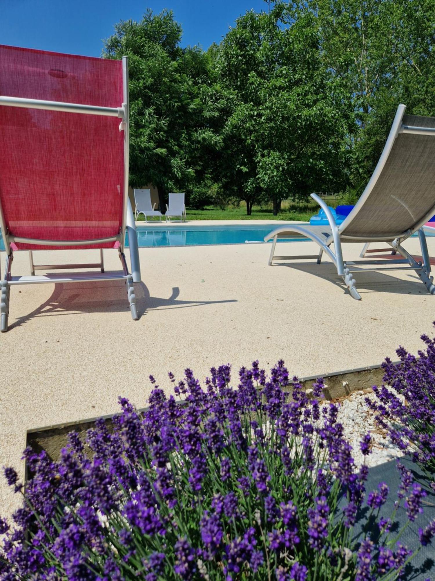 Chambre D'Hotes La Membrolle-sur-Choisille Esterno foto